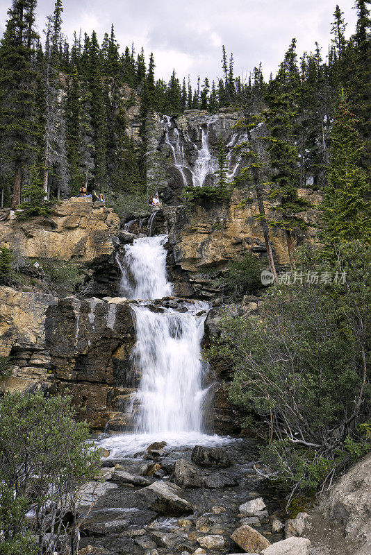 在夏天享受Tangle Creek Falls的景色，Jasper国家公园，AB，加拿大